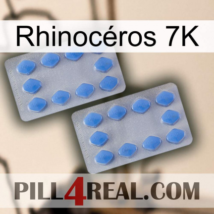 Rhinocéros 7K 20